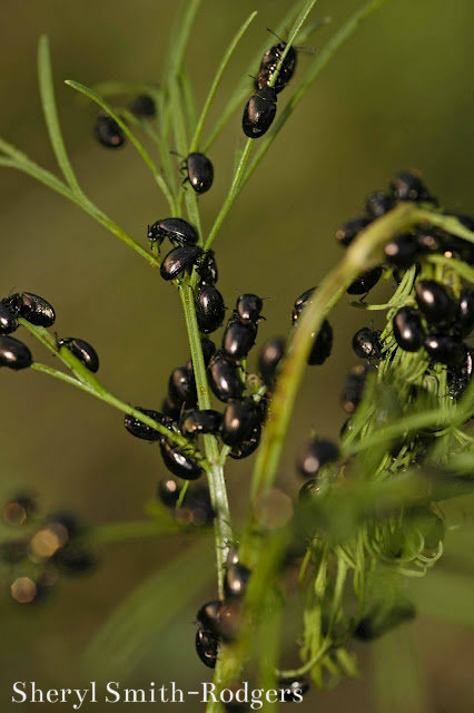 _DSC5045_edited-1 4