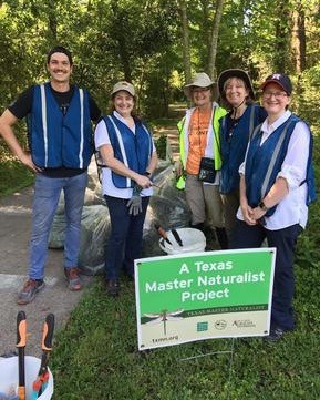 removing invasives in The Woodlands