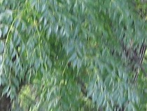 out of focus