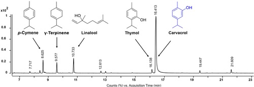 gas chrom of oregano oil copy