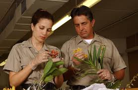 APHIS inspectors