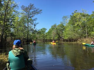 searching for aquatic invasives