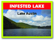 LakeAustin LakeAustin