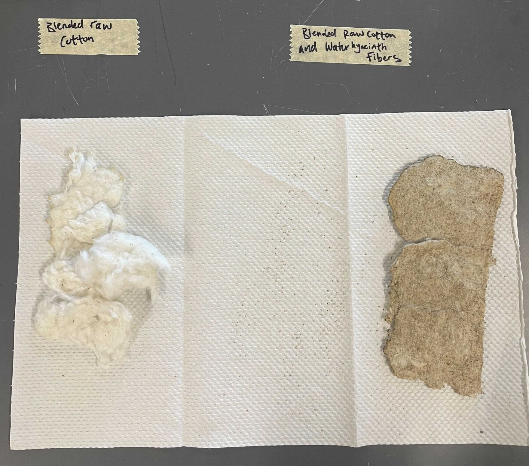 the fibrous material inside the stem is mixed with raw cotton and water to make the pad. Riane Roldan. KUT