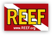 REEFlogo REEFlogo