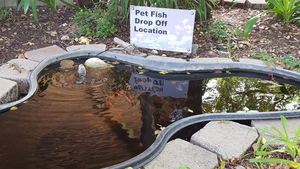 San Marcos fish drop off