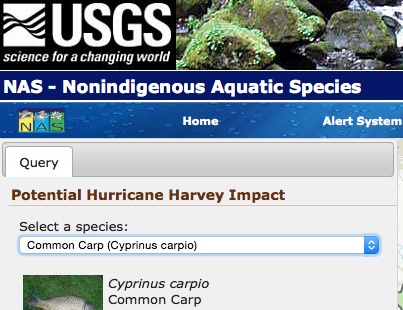 USGS Hurricane potential spread website USGS Hurricane potential spread website