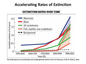 accelerating rates of global extnction 2