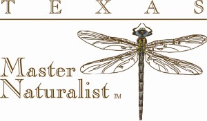 Master-Naturalist-logo