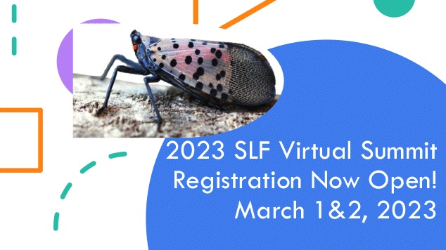 SLF-Summit-2023-v2 copy