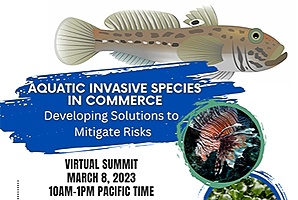 aquatic invasive species in commerce