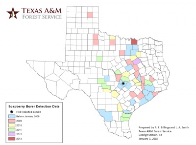 Soapberry Borer Distribution Map 2015