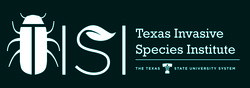 TISI logo