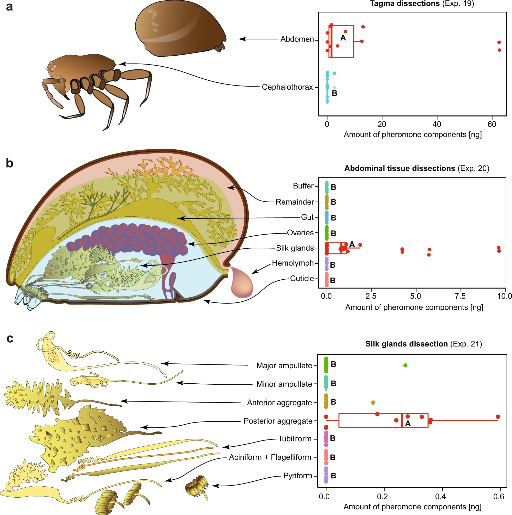 Fischer et al 2022 figure 3