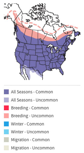 european starling distribution