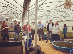 Giant Salvina Rearing Working Group meeting in Uncertain TX 2-10-2020