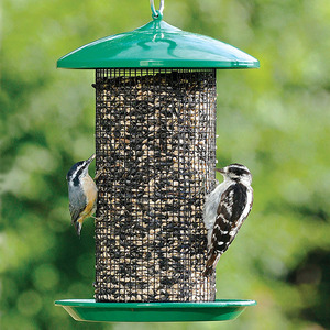 birdfeeder