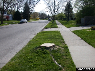 EAB street control