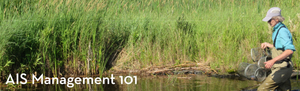 ais_management_101