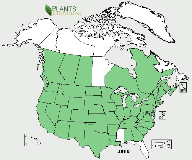 Map Database of Vascular Plants of Canada.