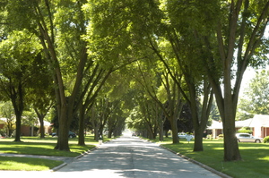 EABTree