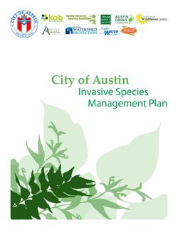 coa_imp_coverpage coa_imp_coverpage