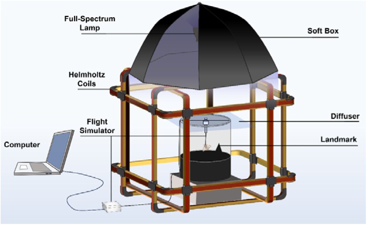 Ma et al 2026 flight simulator