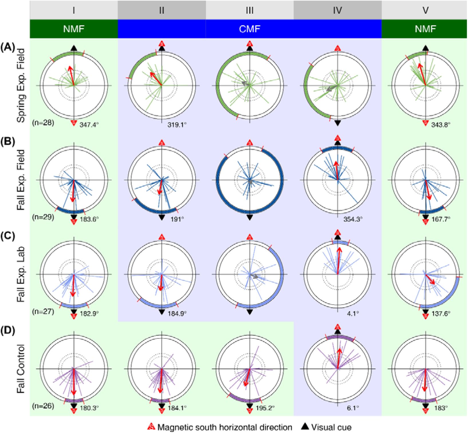 Ma et al 2026 magnetic field