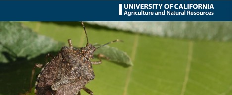 UC IPNs mini series webinars