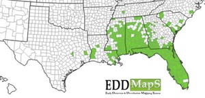 cogongrass map cogongrass map