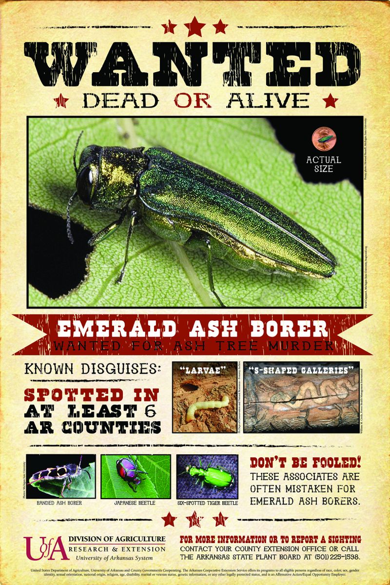 AR EAB wanted poster