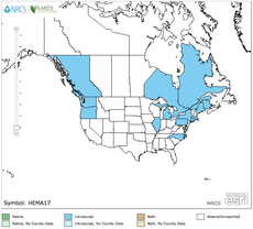 Giant_hogweed_map Giant_hogweed_map