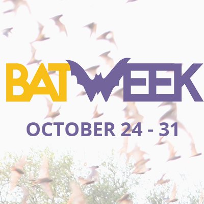 BatWeek.org