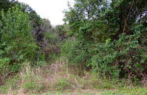 WalnutCreekWorkDay5 WalnutCreekWorkDay5