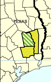 laurel wilt disease in TX laurel wilt disease in TX