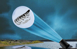 mussel signal KNK