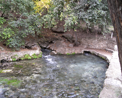 Comal_springs_2007_small