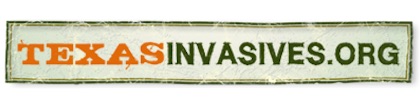 texasinvasives.org logo