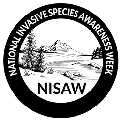 NISAW-logo-2020