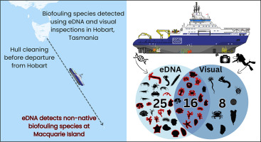 antarctic edna sampling