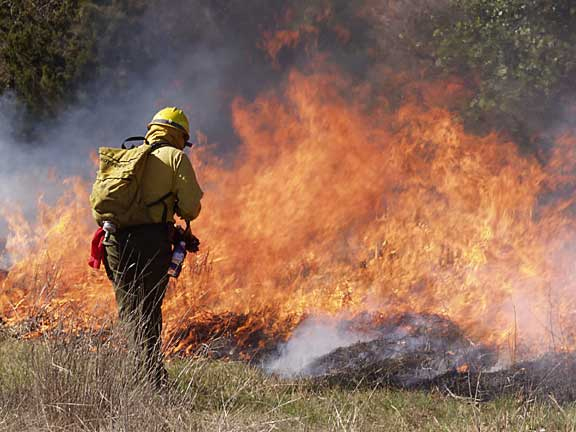 prescribed fire WFC