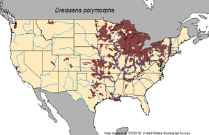 zebra mussel 2018 USGS