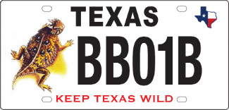 Horned Lizard License Plate Horned Lizard License Plate