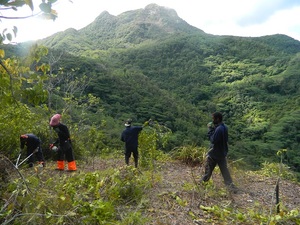 remove_invasives_seychelles