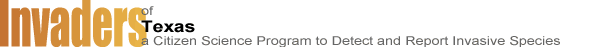 invaders_type.gif
